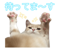 845684252