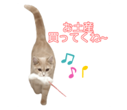 845684253
