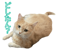 845684256