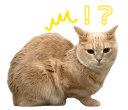845684271