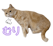 845684274