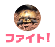 845684301