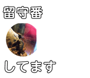 845684314