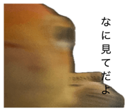845684390