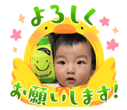 845684441