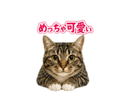 845684453