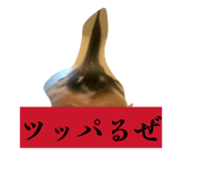 845684479