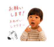 845684538