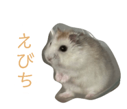 845684625