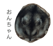 845684633
