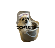 845685178