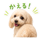 845685581
