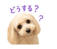 845685582