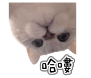 845686657