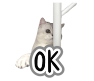 845686658