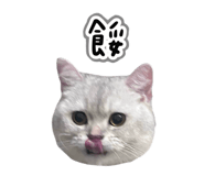 845686662