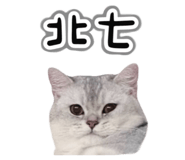 845686663