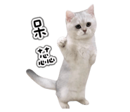 845686671