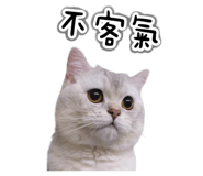 845686675