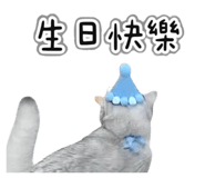845686677