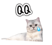 845686678