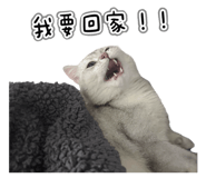 845686679