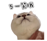 845686680