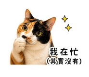 845686833