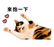 845686836