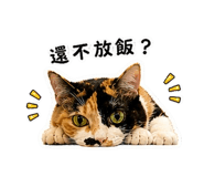 845686840