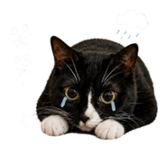845687145