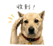845689390