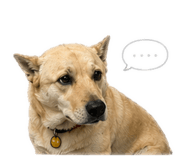 845689396
