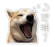 845689532