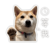 845689537