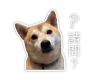 845689540