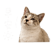 845689753