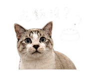 845689756