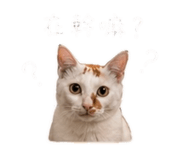 845689757