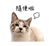 845689760