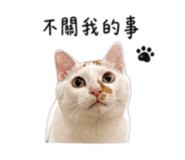 845689761