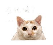 845689766