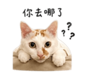 845689772