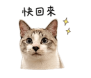 845689774
