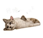 845689777