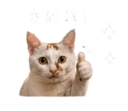 845689778