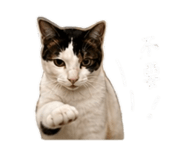 845689779