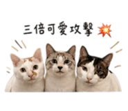 845689780