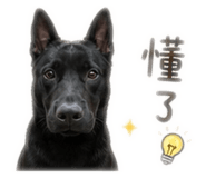 845690153