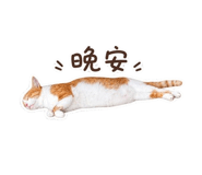 845691263